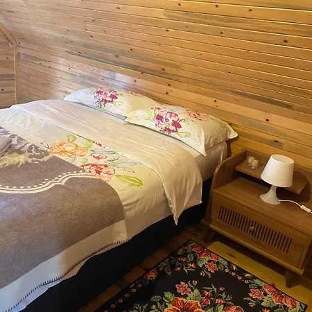 Niluefer Evi 베르가마