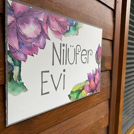 호텔 Niluefer Evi 3*